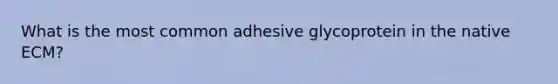 What is the most common adhesive glycoprotein in the native ECM?