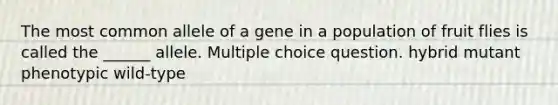 The most common allele of a gene in a population of fruit flies is called the ______ allele. Multiple choice question. hybrid mutant phenotypic wild-type