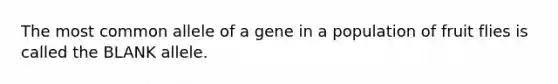 The most common allele of a gene in a population of fruit flies is called the BLANK allele.