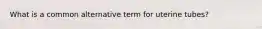What is a common alternative term for uterine tubes?