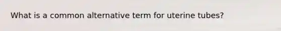 What is a common alternative term for uterine tubes?