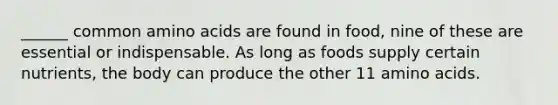 ______ common amino acids are found in food, nine of these are essential or indispensable. As long as foods supply certain nutrients, the body can produce the other 11 amino acids.