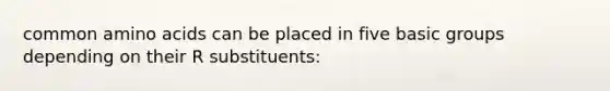 common amino acids can be placed in five basic groups depending on their R substituents: