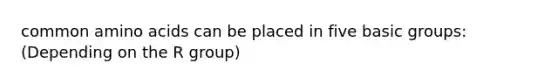 common amino acids can be placed in five basic groups: (Depending on the R group)