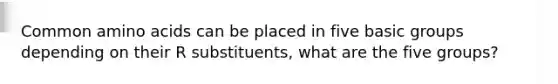 Common <a href='https://www.questionai.com/knowledge/k9gb720LCl-amino-acids' class='anchor-knowledge'>amino acids</a> can be placed in five basic groups depending on their R substituents, what are the five groups?