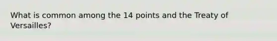 What is common among the 14 points and the Treaty of Versailles?