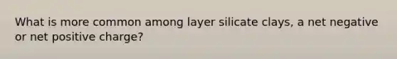 What is more common among layer silicate clays, a net negative or net positive charge?