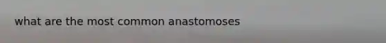 what are the most common anastomoses