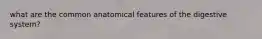 what are the common anatomical features of the digestive system?