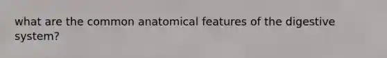 what are the common anatomical features of the digestive system?