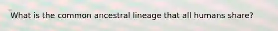 What is the common ancestral lineage that all humans share?