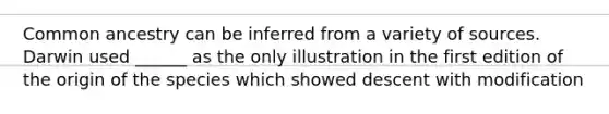 Common ancestry can be inferred from a variety of sources. Darwin used ______ as the only illustration in the first edition of the origin of the species which showed descent with modification