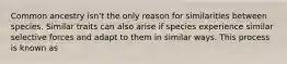 Common ancestry isn't the only reason for similarities between species. Similar traits can also arise if species experience similar selective forces and adapt to them in similar ways. This process is known as