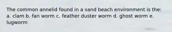 The common annelid found in a sand beach environment is the: a. clam b. fan worm c. feather duster worm d. ghost worm e. lugworm