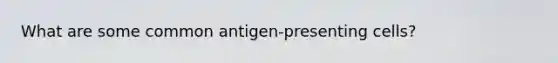 What are some common antigen-presenting cells?