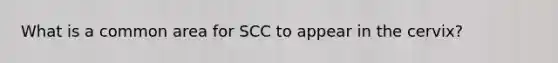 What is a common area for SCC to appear in the cervix?