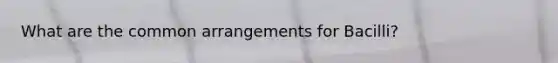 What are the common arrangements for Bacilli?