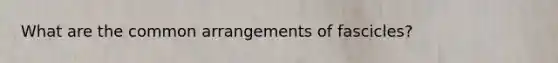 What are the common arrangements of fascicles?