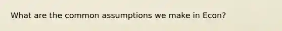 What are the common assumptions we make in Econ?