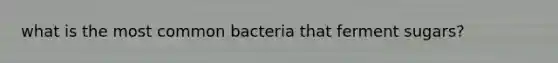 what is the most common bacteria that ferment sugars?