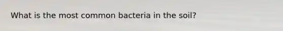 What is the most common bacteria in the soil?