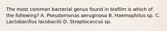 The most common bacterial genus found in biofilm is which of the following? A. Pseudomonas aeruginosa B. Haemophilus sp. C. Lactobacillus lacobacilii D. Streptococcus sp.