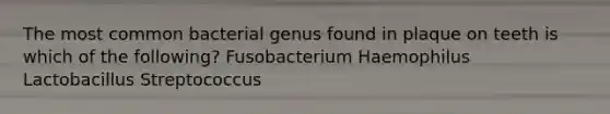 The most common bacterial genus found in plaque on teeth is which of the following? Fusobacterium Haemophilus Lactobacillus Streptococcus