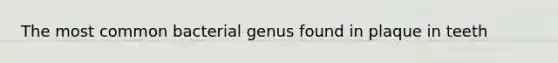 The most common bacterial genus found in plaque in teeth