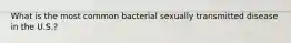 What is the most common bacterial sexually transmitted disease in the U.S.?