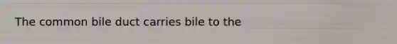 The common bile duct carries bile to the