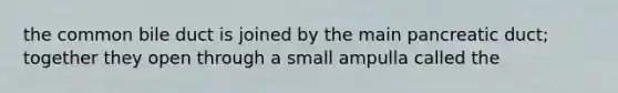 the common bile duct is joined by the main pancreatic duct; together they open through a small ampulla called the