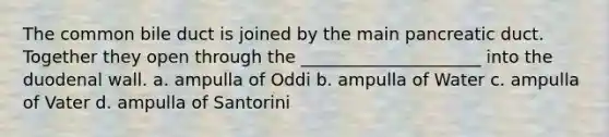 The common bile duct is joined by the main pancreatic duct. Together they open through the _____________________ into the duodenal wall. a. ampulla of Oddi b. ampulla of Water c. ampulla of Vater d. ampulla of Santorini