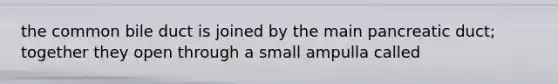 the common bile duct is joined by the main pancreatic duct; together they open through a small ampulla called