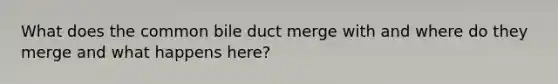 What does the common bile duct merge with and where do they merge and what happens here?