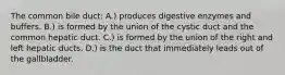 The common bile duct: A.) produces digestive enzymes and buffers. B.) is formed by the union of the cystic duct and the common hepatic duct. C.) is formed by the union of the right and left hepatic ducts. D.) is the duct that immediately leads out of the gallbladder.