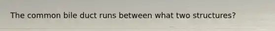 The common bile duct runs between what two structures?
