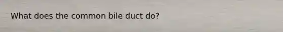 What does the common bile duct do?