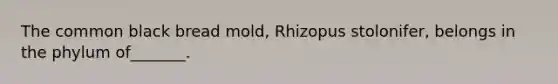 The common black bread mold, Rhizopus stolonifer, belongs in the phylum of_______.