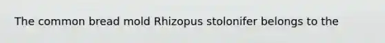 The common bread mold Rhizopus stolonifer belongs to the