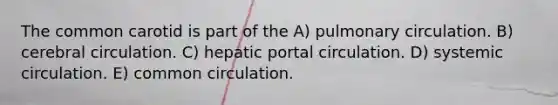 The common carotid is part of the A) pulmonary circulation. B) cerebral circulation. C) hepatic portal circulation. D) systemic circulation. E) common circulation.