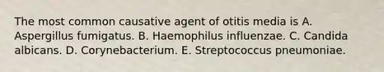 The most common causative agent of otitis media is A. Aspergillus fumigatus. B. Haemophilus influenzae. C. Candida albicans. D. Corynebacterium. E. Streptococcus pneumoniae.