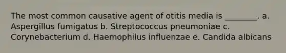 The most common causative agent of otitis media is ________. a. Aspergillus fumigatus b. Streptococcus pneumoniae c. Corynebacterium d. Haemophilus influenzae e. Candida albicans