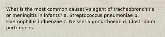 What is the most common causative agent of tracheobronchitis or meningitis in infants? a. Streptococcus pneumoniae b. Haemophilus influenzae c. Neisseria gonorrhoeae d. Clostridium perfringens