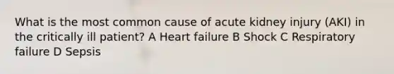 What is the most common cause of acute kidney injury (AKI) in the critically ill patient? A Heart failure B Shock C Respiratory failure D Sepsis