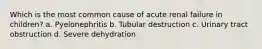 Which is the most common cause of acute renal failure in children? a. Pyelonephritis b. Tubular destruction c. Urinary tract obstruction d. Severe dehydration