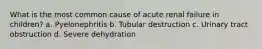 What is the most common cause of acute renal failure in children? a. Pyelonephritis b. Tubular destruction c. Urinary tract obstruction d. Severe dehydration