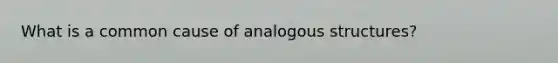 What is a common cause of analogous structures?