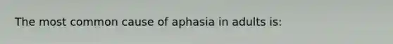 The most common cause of aphasia in adults is: