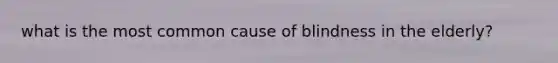 what is the most common cause of blindness in the elderly?