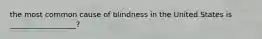 the most common cause of blindness in the United States is __________________?